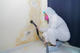 Henry, IL Mold Prevention & Removal  Company